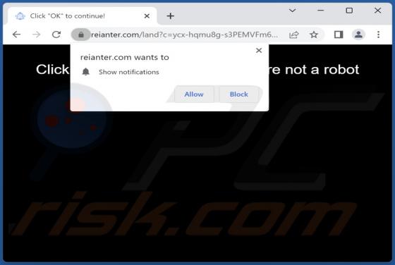 Reianter.com Ads