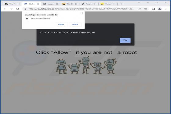 Owletguide.com Ads