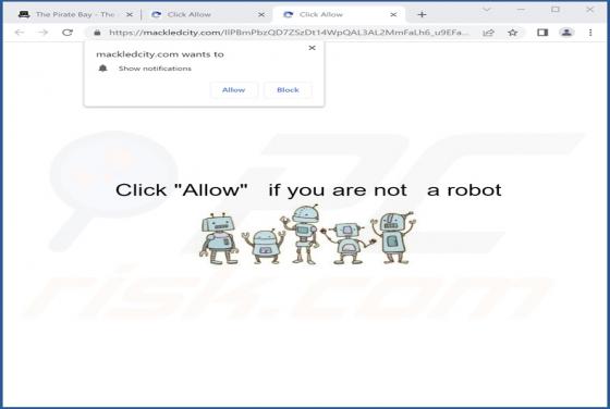 Mackledcity.com Ads
