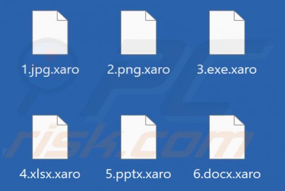 Xaro Ransomware