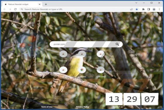 Nature-Newtab Browser Hijacker