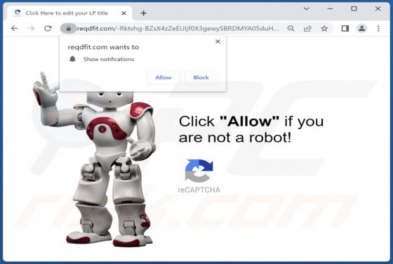 Reqdfit.com Ads