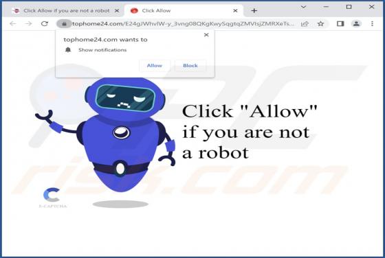 Tophome24.com Ads