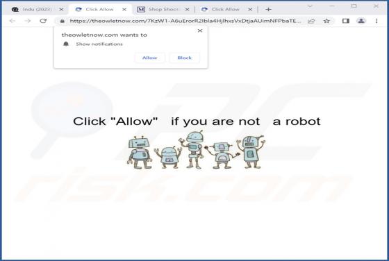 Theowletnow.com Ads