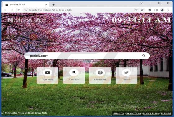 The Nature Art Browser hijacker