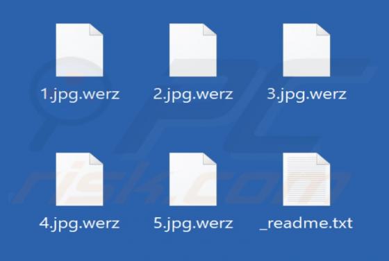 Werz Ransomware