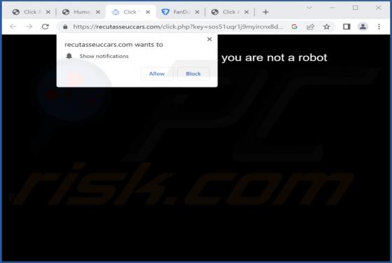 Recutasseuccars.com Ads