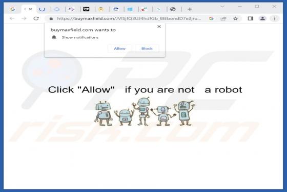 Buymaxfield.com Ads