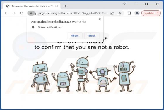 Declinerybelfa.buzz Ads