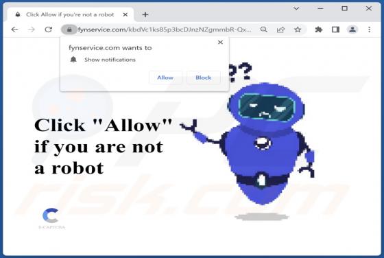 Fynservice.com Ads