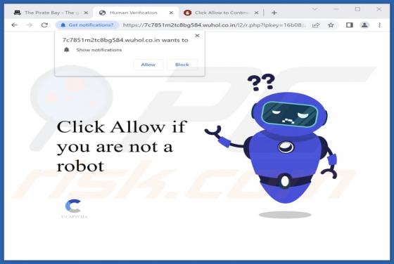 Wuhol.co.in Ads