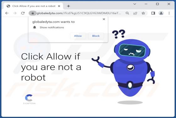 Globaledyta.com Ads