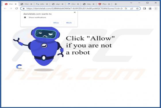 Dariolelab.com Ads