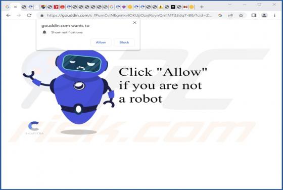 Gouddin.com Ads