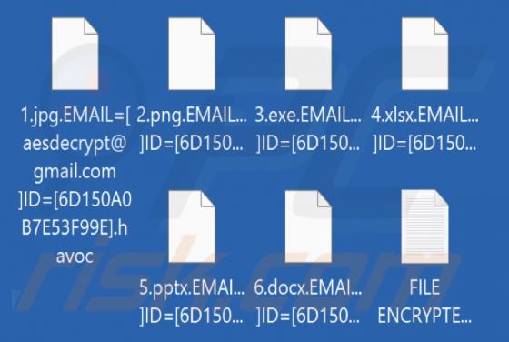Havoc Ransomware