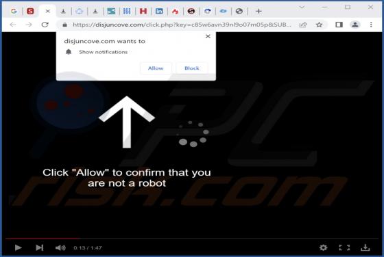 Disjuncove.com Ads