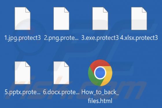 Protect (MedusaLocker) Ransomware