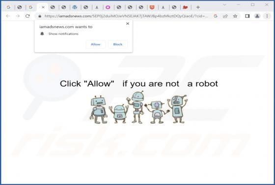 Iamadsnews.com Ads