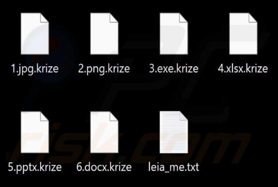 Krize Ransomware
