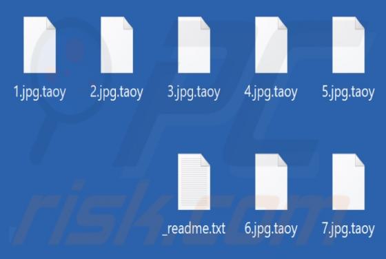 Taoy Ransomware