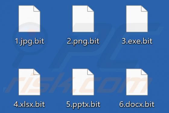 NoBit Ransomware