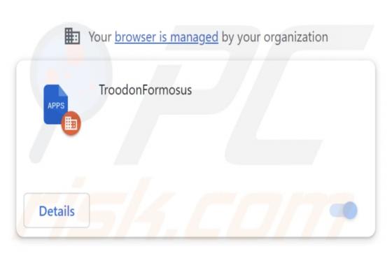TroodonFormosus Malicious Extension