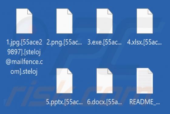 Steloj Ransomware