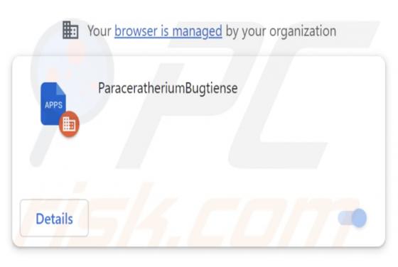 ParaceratheriumBugtiense Malicious Extension