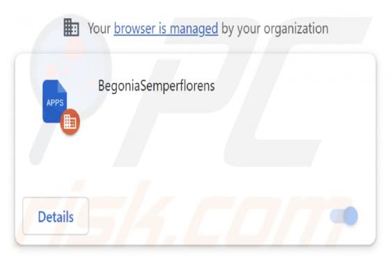 BegoniaSemperflorens Malicious Extension
