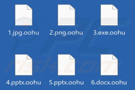 Oohu Ransomware
