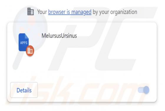MelursusUrsinus Malicious Extension