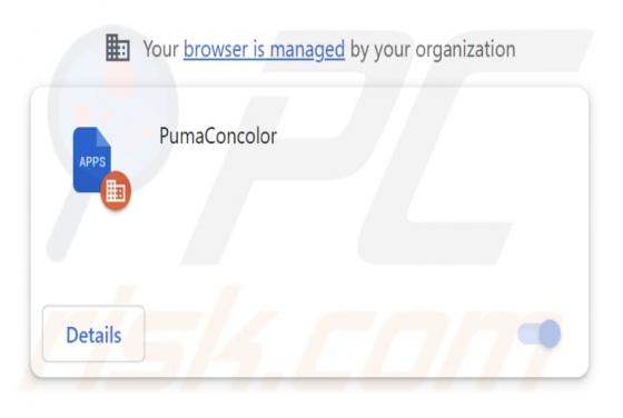 PumaConcolor Malicious Extension