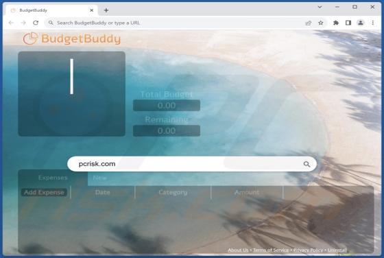BudgetBuddy Browser Hijacker