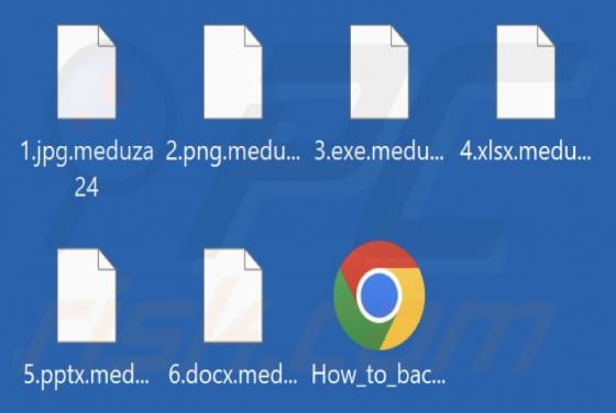 Meduza Ransomware