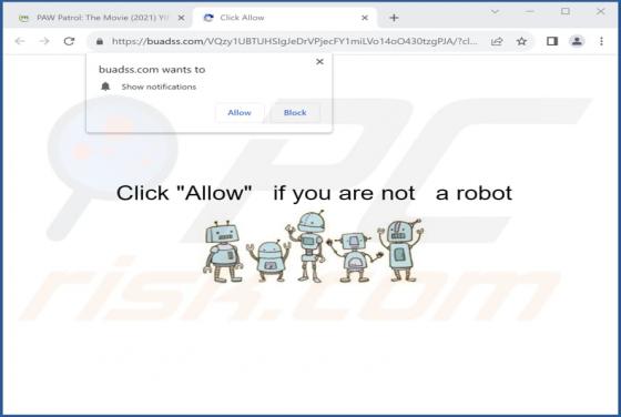 Buadss.com Ads