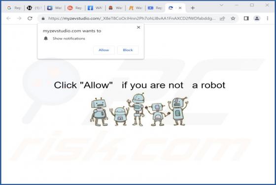 Myzevstudio.com Ads