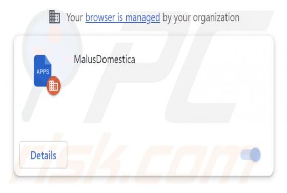 MalusDomestica Malicious Extension
