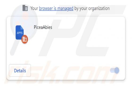 PiceaAbies Malicious Extension