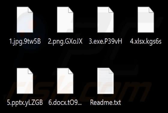 CATAKA Ransomware