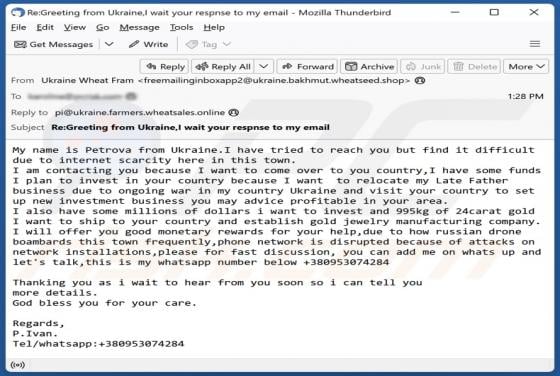 Investment In Your Country Email Scam