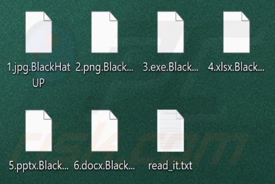 BlackHatUP Ransomware