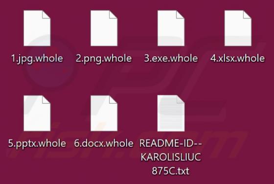 Whole Ransomware
