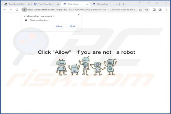Codsmedia.com Ads