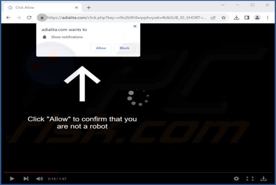 Adialita.com Ads