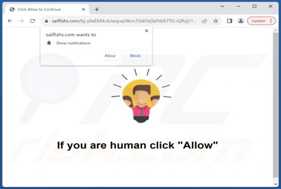 Sailfishs.com Ads