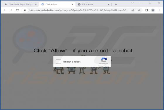 Amadadscity.com Ads