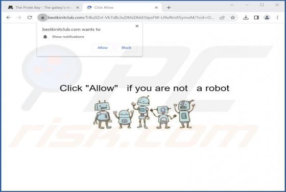 Bestkinitclub.com Ads