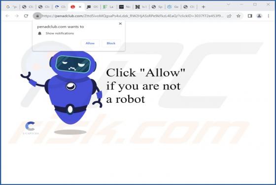 Penadclub.com Ads