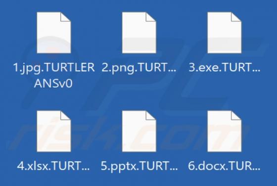 Turtle Ransomware