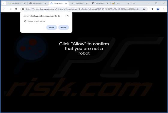 Ernenskohyptoke.com Ads